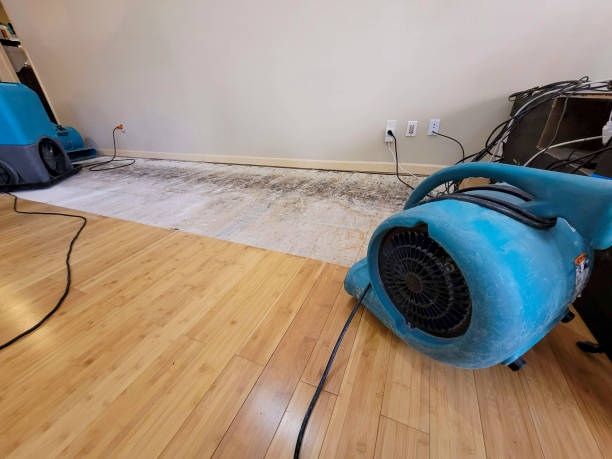 Professional Water Damage Repair technician working in Thompson, UT